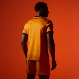 Wolverhampton Wanderers Home men jersey
