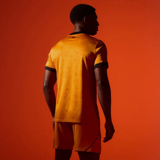 Wolverhampton Wanderers Home men jersey