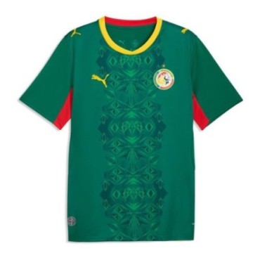 Senegal Away Jersey 2026 Men