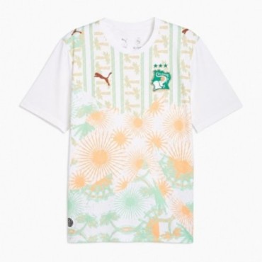 Costa d'Ivoire Away Jersey 2026 Men