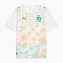 Costa d'Ivoire Away Jersey 2026 Men