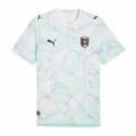 Austria Away Jersey Men 2026